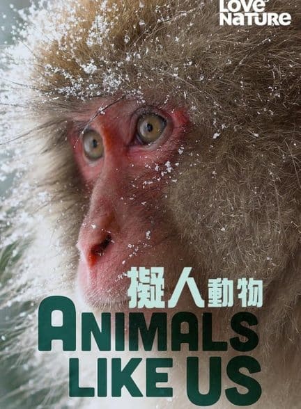 دانلود سریال Animals Like Us 2024 زیرنویس چسبیده